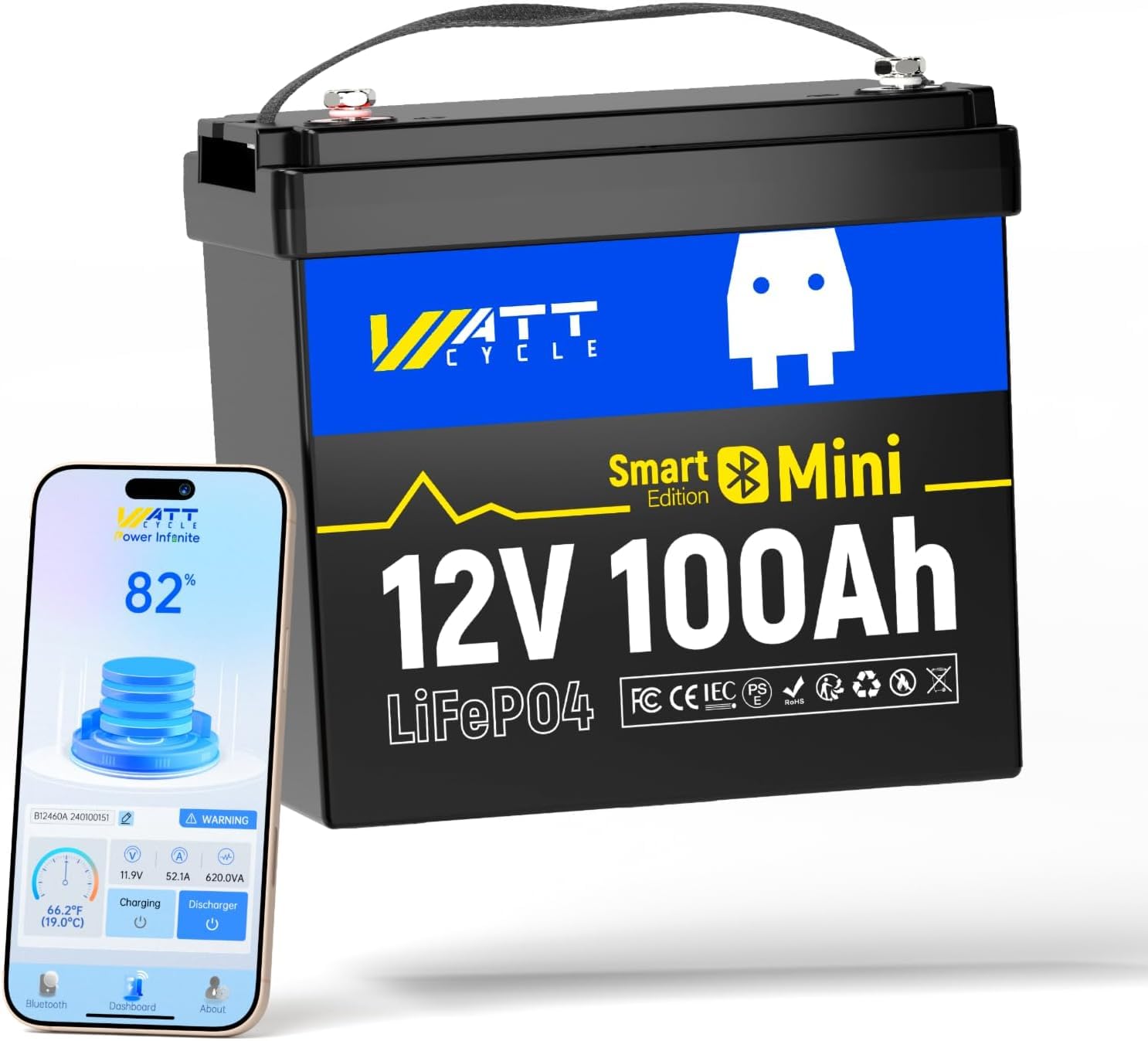 Baterai Mini LiFePO4 12V 100Ah - Lifepo4 12V 100Ah Bms Bluetooth ulasan dan harga